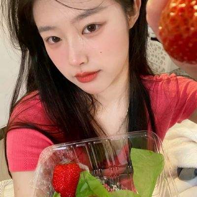 精灵计划bt版下载